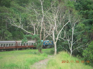 73 83f. Kurunda rain forest tour - scenic railway