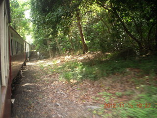 75 83f. Kurunda rain forest tour - scenic railway