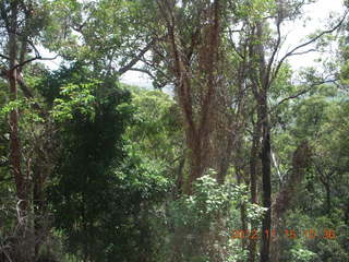 80 83f. Kurunda rain forest tour - scenic railway