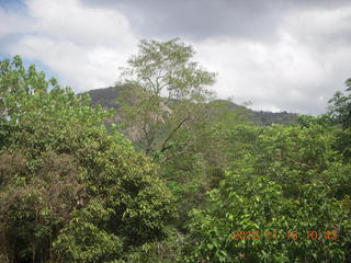 83 83f. Kurunda rain forest tour - scenic railway