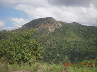 84 83f. Kurunda rain forest tour - scenic railway