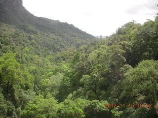 91 83f. Kurunda rain forest tour - scenic railway