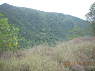 101 83f. Kurunda rain forest tour - scenic railway