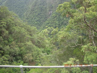 104 83f. Kurunda rain forest tour - scenic railway