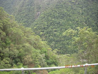 105 83f. Kurunda rain forest tour - scenic railway