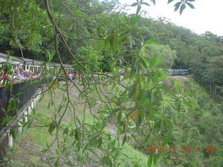 124 83f. Kurunda rain forest tour - scenic railway
