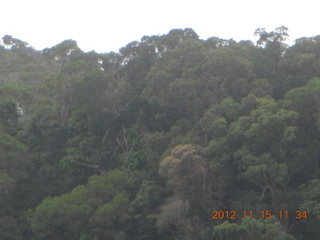 130 83f. Kurunda rain forest tour - scenic railway