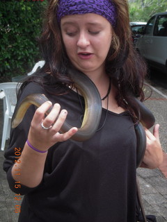 138 83f. Kurunda rain forest tour - Venom Zoo snake