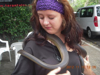 139 83f. Kurunda rain forest tour - Venom Zoo snake