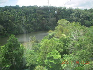 162 83f. rain forest tour - Skyrail