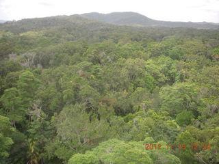 168 83f. rain forest tour - Skyrail