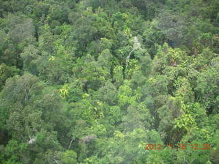 170 83f. rain forest tour - Skyrail