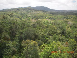 172 83f. rain forest tour - Skyrail