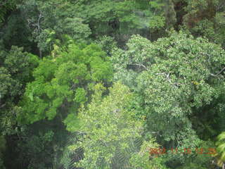174 83f. rain forest tour - Skyrail