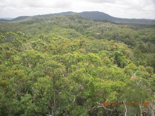 175 83f. rain forest tour - Skyrail