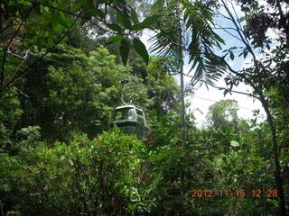 185 83f. rain forest tour - Skyrail stop 1