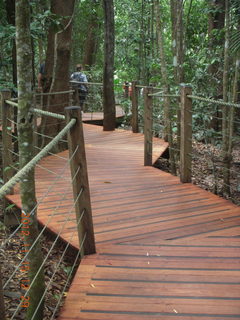 187 83f. rain forest tour - Skyrail stop 1