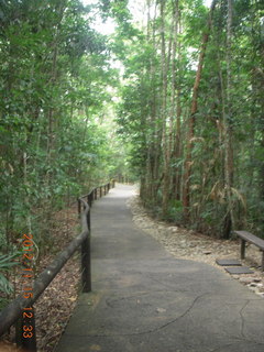 199 83f. rain forest tour - Skyrail stop 1