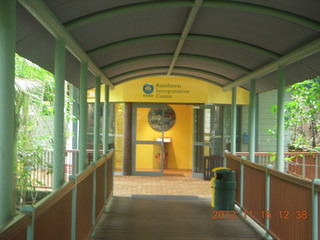 210 83f. rain forest tour - Skyrail stop 1 museum