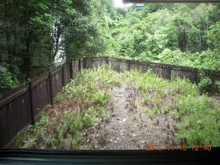 212 83f. rain forest tour - Skyrail stop 1