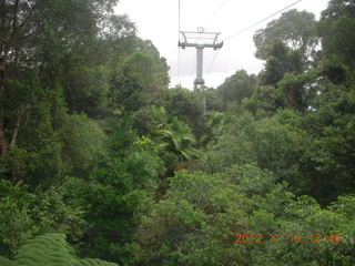 214 83f. rain forest tour - Skyrail