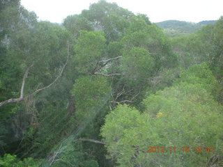 222 83f. rain forest tour - Skyrail