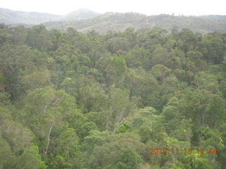 229 83f. rain forest tour - Skyrail