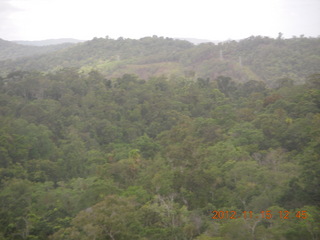231 83f. rain forest tour - Skyrail