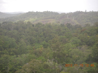 rain forest tour - Skyrail