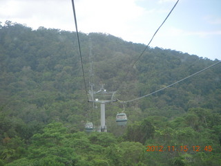 232 83f. rain forest tour - Skyrail