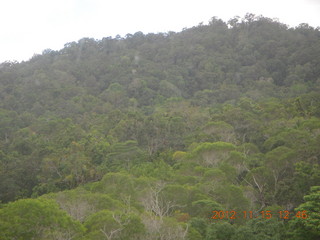 234 83f. rain forest tour - Skyrail