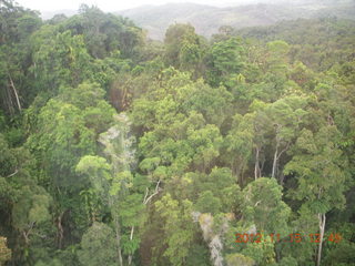 rain forest tour - Skyrail