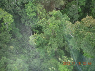 236 83f. rain forest tour - Skyrail