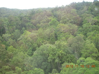 rain forest tour - Skyrail