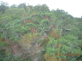 240 83f. rain forest tour - Skyrail