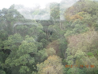 243 83f. rain forest tour - Skyrail
