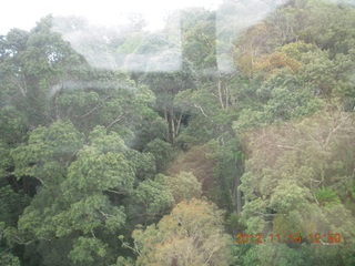 rain forest tour - Skyrail