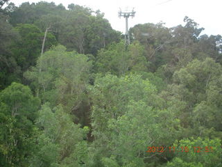 245 83f. rain forest tour - Skyrail