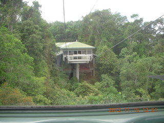 247 83f. rain forest tour - Skyrail stop 2