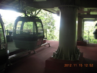250 83f. rain forest tour - Skyrail stop 2