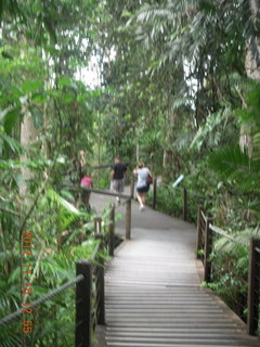 259 83f. rain forest tour - Skyrail stop 2 sign