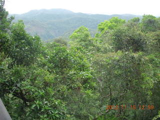 270 83f. rain forest tour - Skyrail stop 2