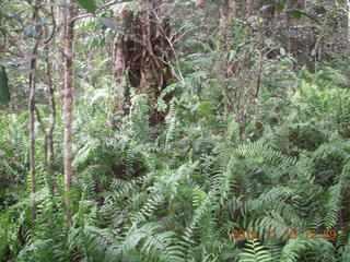 rain forest tour - Skyrail stop 2 sign