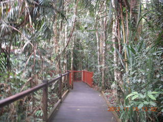 rain forest tour - Skyrail stop 2