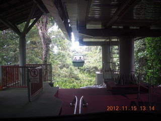 289 83f. rain forest tour - Skyrail stop 2