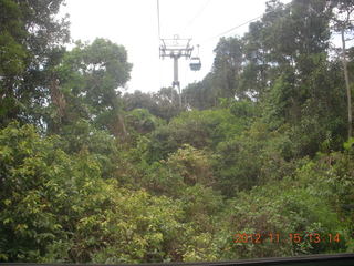 291 83f. rain forest tour - Skyrail