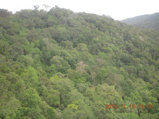 296 83f. rain forest tour - Skyrail