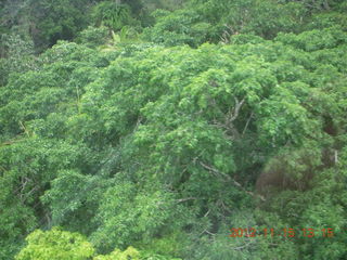 297 83f. rain forest tour - Skyrail