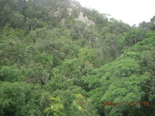 298 83f. rain forest tour - Skyrail