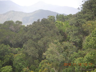 rain forest tour - Skyrail